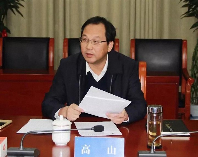 Gao Shan, member of the Standing Committee of the Changsha Municipal Party Committee and Minister of Propaganda, and his delegation investigated Qitai Sensing